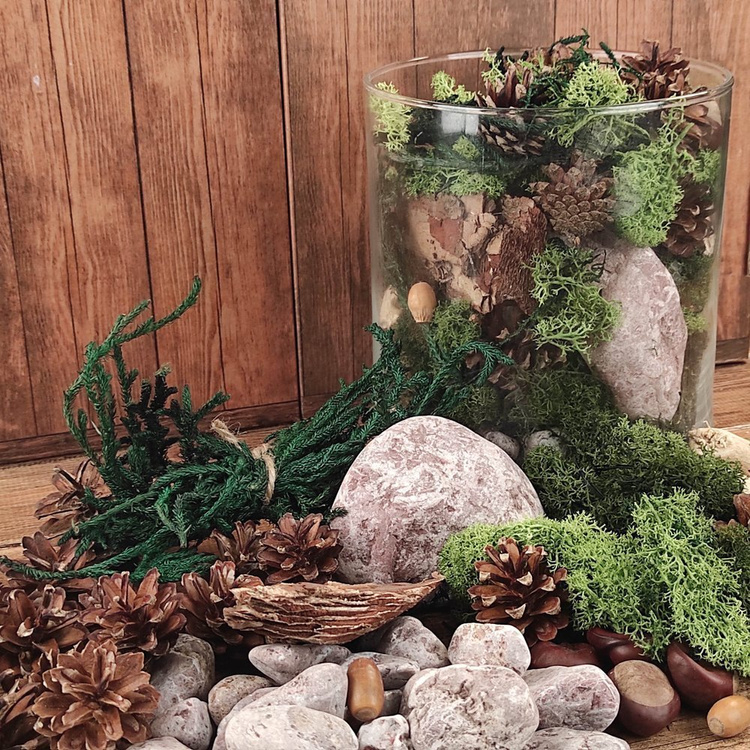 Moss Chrobotek decorations 50g green