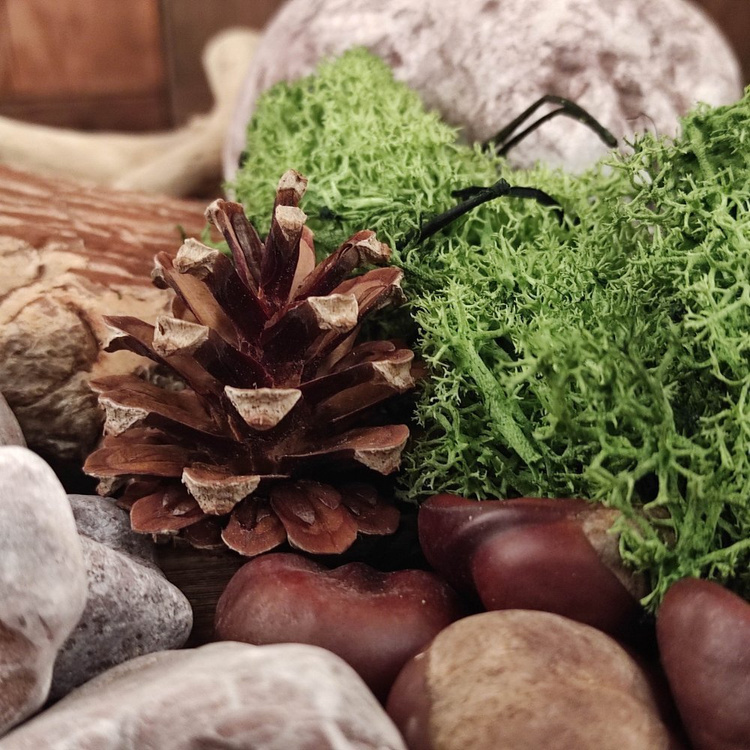 Decorative moss,  mix, 80/120/200mm
