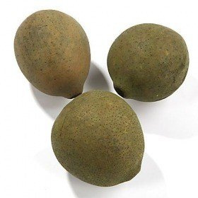 Verholtzte, glanzlose Frucht 6-8 cm, grün