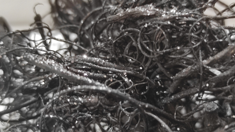 Curly Moos, 30g, Natur