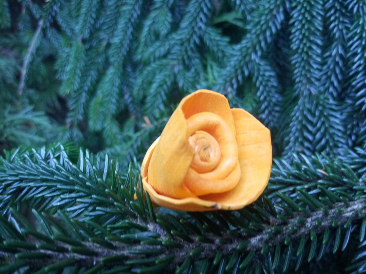 Getrocknete Salzblumen 45-50 Stück / Packung -intensive Orangen