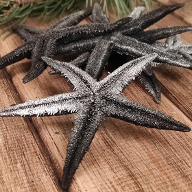 Starfish, diameter 6-8 cm
