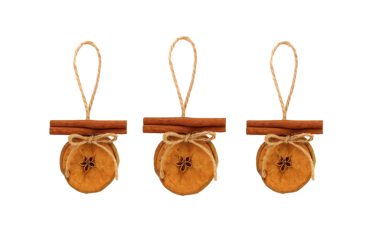 Dried apples in slices 6 pcs/pkg gold