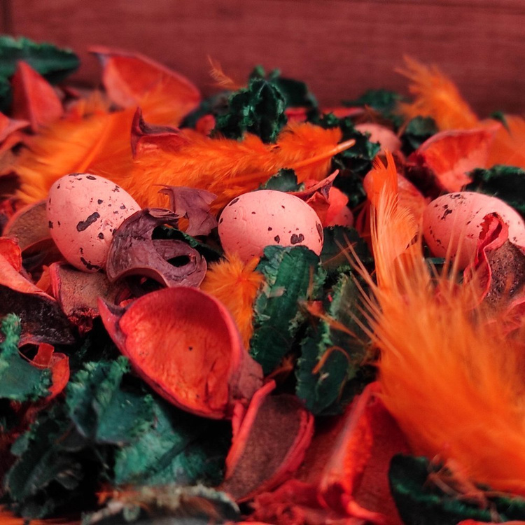 Spring potpourri wz 3