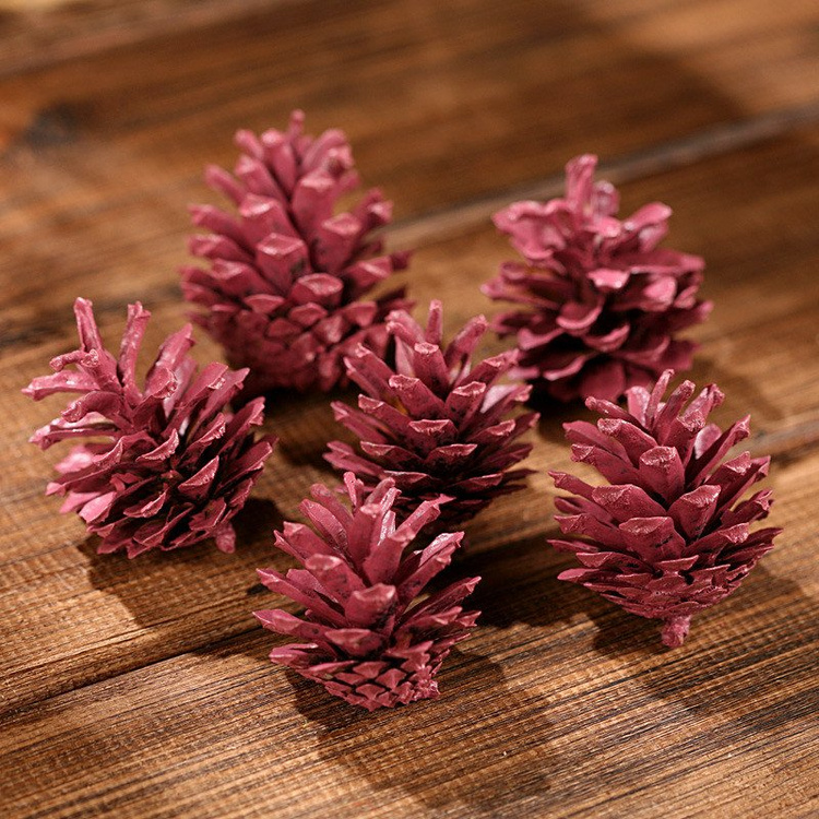 Mountain pine cone, 12 pcs/pkg pink