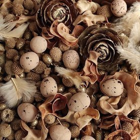 Frühling Potpourri wz 7