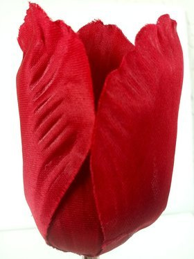 Tulipan główki strzepione 8 cm 6 szt czerwone