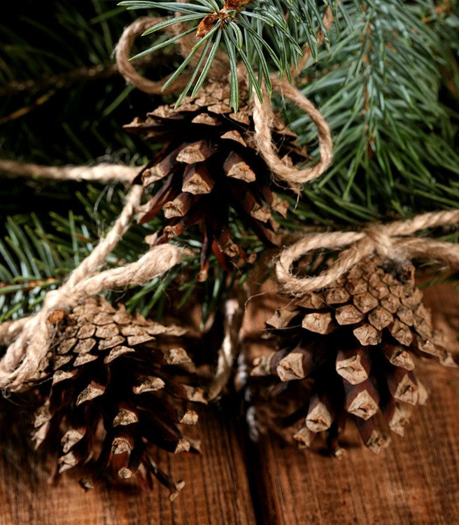 Set of 6 handmade cone-hanger