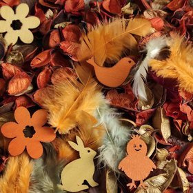 Spring potpourri wz 6