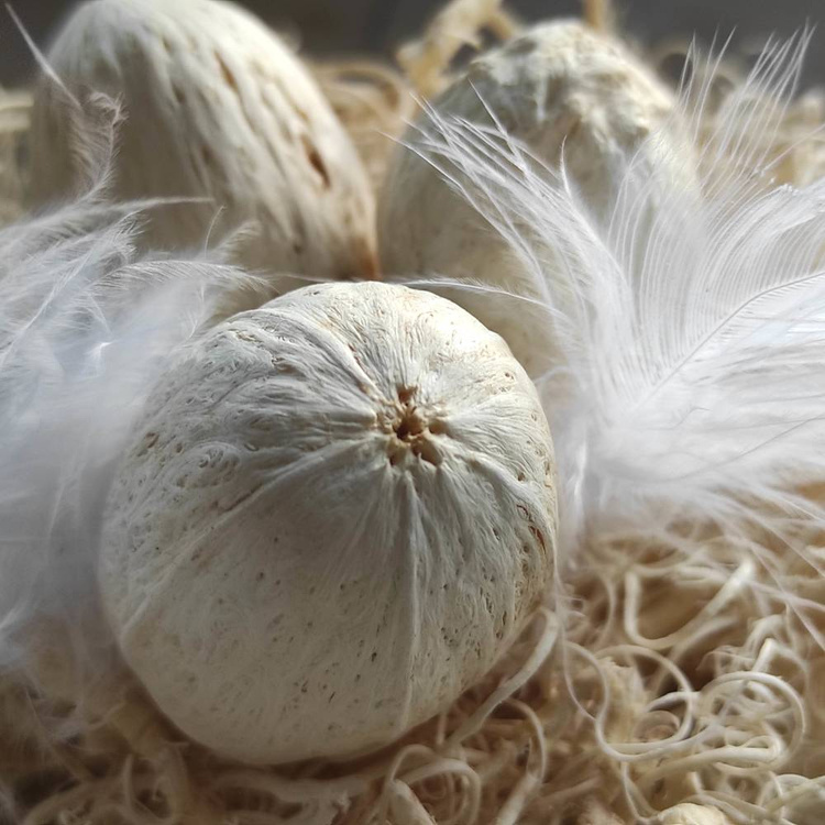 Natural whitened nest 8-12 cm 