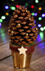 Arrangement- gold cone 