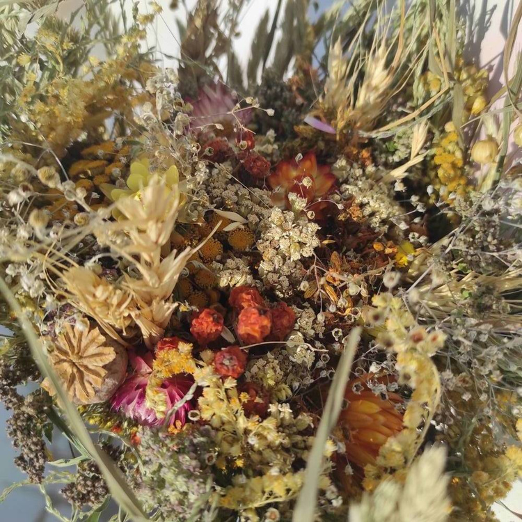 Bunch of dry smelling herbs, natural product, ca. 30 cm
