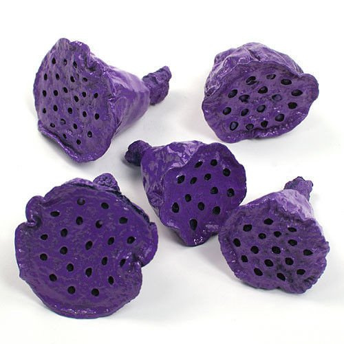 Lotus mini lacquered 12 pcs/pkg dark purple