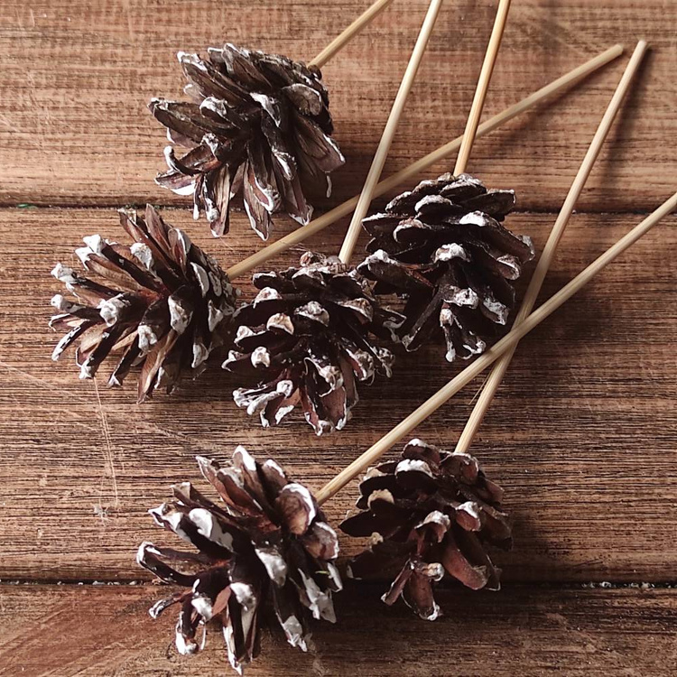 Dekoracje do świątecznych stroików Szyszki na drewnianym piku ręcznie malowane 6 szt/op