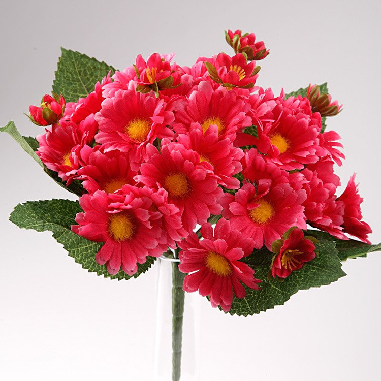 Blumenstrauß aus orangen Magerwiesen-Margerite - ca. 24 Blumen 40 cm