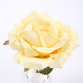 Rose head cream 11,5 cm 3 pcs/set