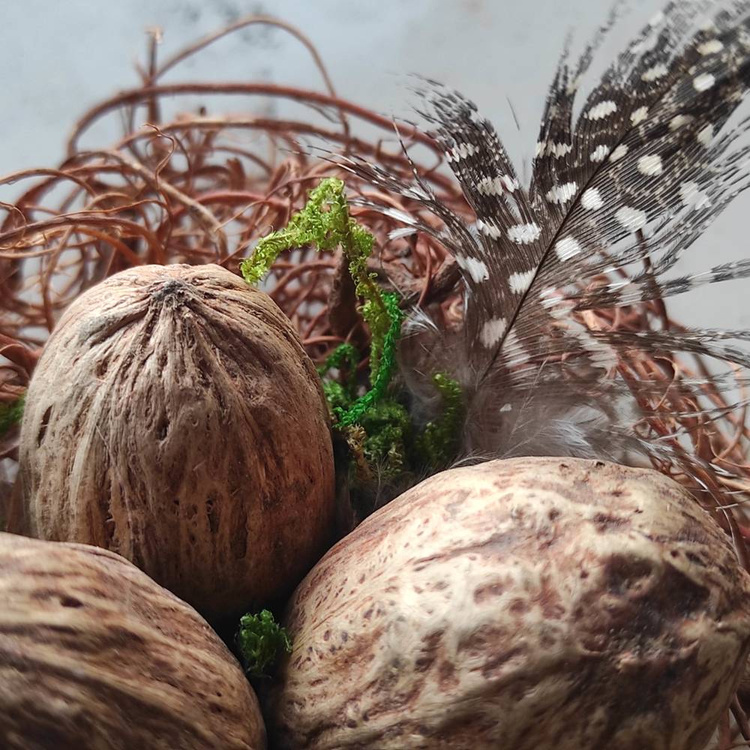 Natural nest 8-12 cm 