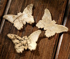 Birkenhäschen 3-4 cm 8 Stücke