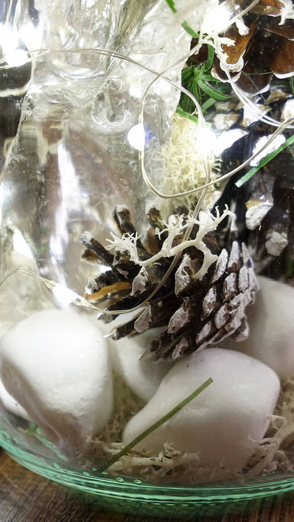 Wald im WINTER 1 Glas DIY Material zum Selbermachen 