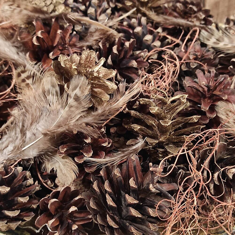 Natural nest, richly equipped, 10-12 cm 