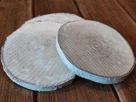 Holzscheibe zur Dekoration, Birke 10-12 cm dick. 1-2 cm 3 er Packung