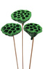 Lotos am Stäbchen gefärbt Durchmesser 6-8 cm 6 Stck grün
