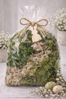 Dried bark decorated with moss-5-7 pieces