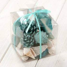 Arrangement of dried fruits and sea shells 10/10 cm - sky-blue/white