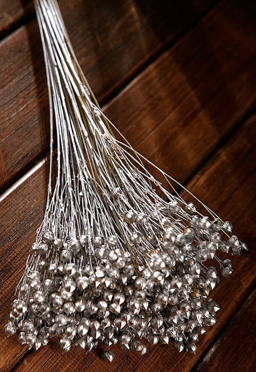 Bunch of linum, ca. 30-35 cm high, silver