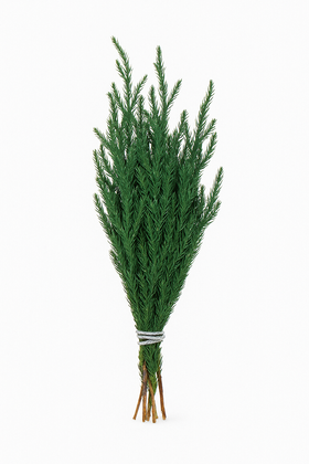 Prepared fork, green, 20 cm beam