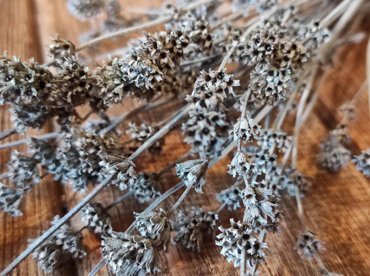 Getrocknete Lavendelzweige Bouquet 25 cm