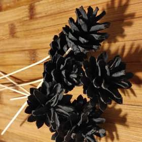 Zapfen auf Holzschirm schwarz 6 Stück / Packung