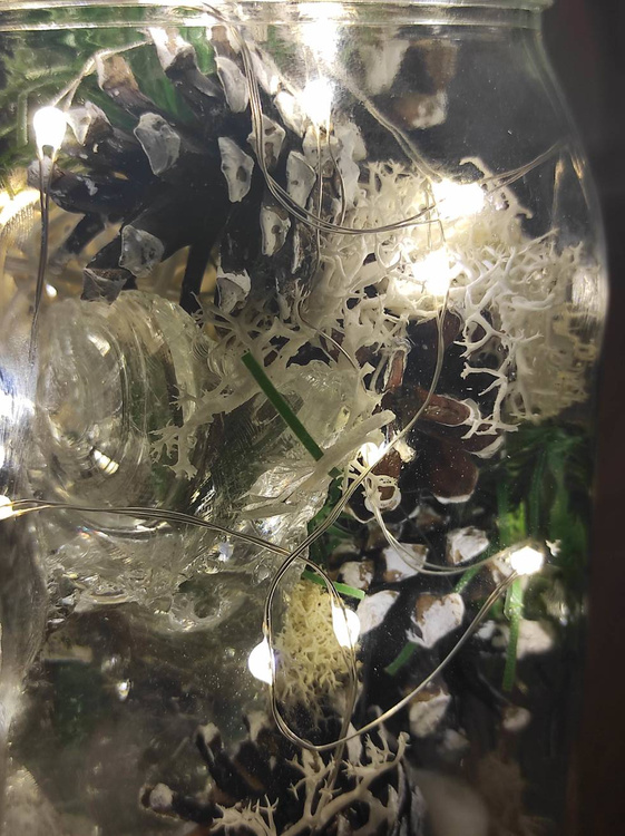 Forest in a WINTER 1 jar DIY material for self-arrangement 