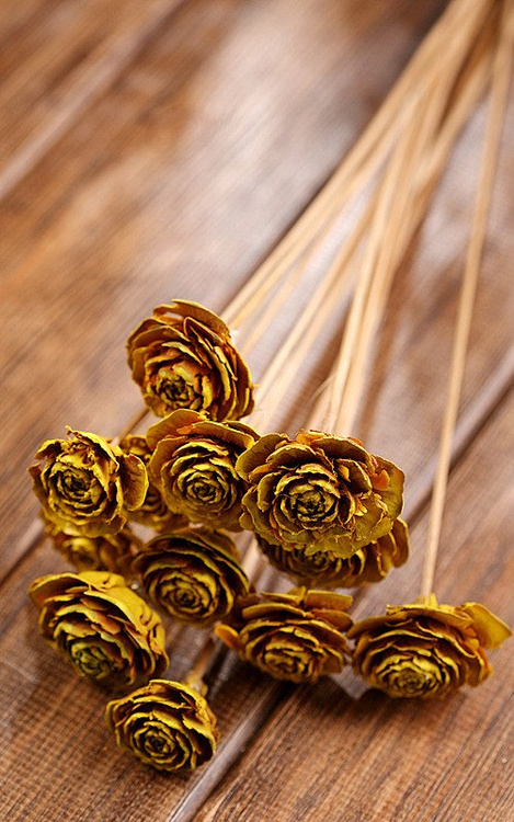 Bouquet of 6 Cedar Roses Yellow