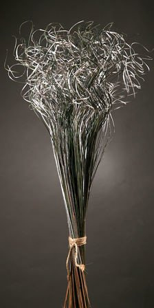 Curly grass, bunch, -silver
