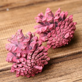 Mountain pine cone, 12 pcs/pkg pink