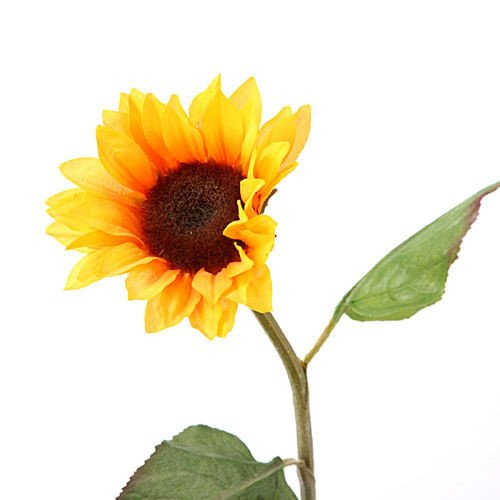 Sunflower 13/46 cm