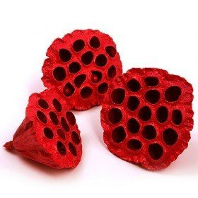 Lotus dyed diameter 6-8 cm 6 pcs/pkg red