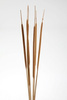 Bunch of water sticks, nature