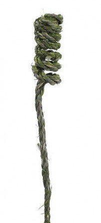 Rope with a wire 50 cm - olive - 10 pcs/pkg