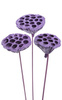 Lotos am Stäbchen gefärbt Durchmesser 6-8 cm 6 Stck helles Violett