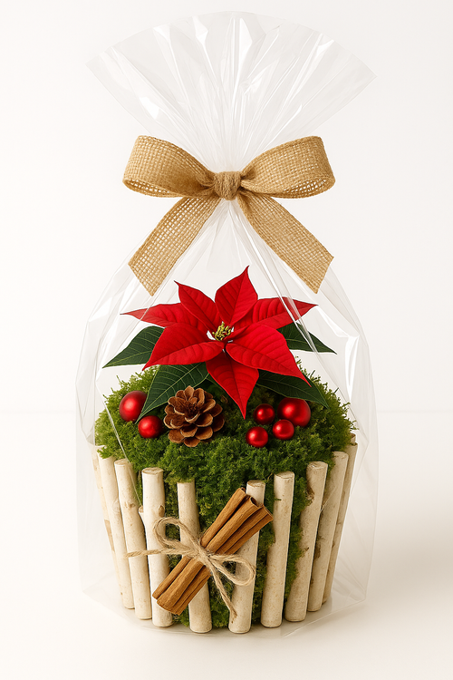 Wooden sticks, white, 6 pieces, 30 cm