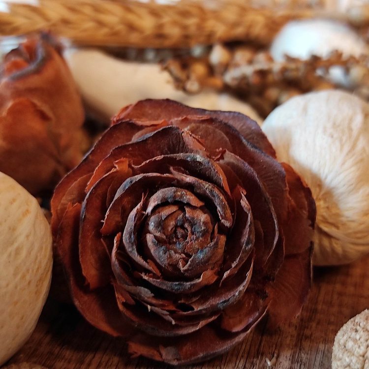 Natural Summer Potpourri 