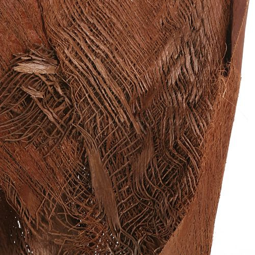 Palm bark 250 g/pkg, natural brown, 11 flakes PROMOTION