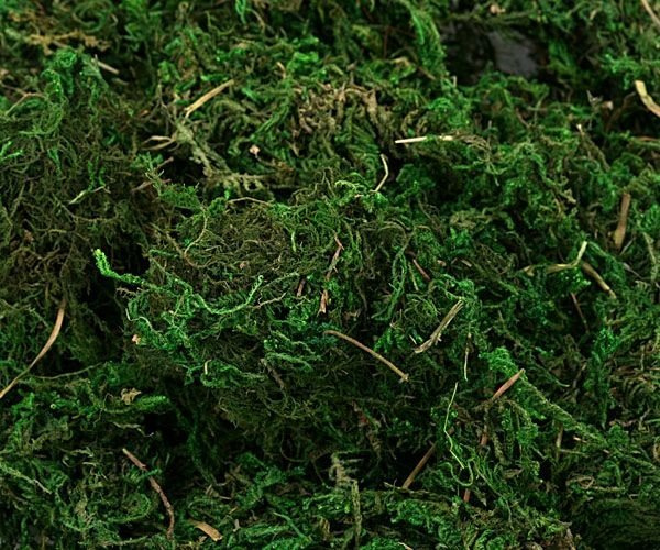 Decorative moss, green, big pack, 1l