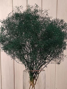 Gypsophila Bouquet GRÜN ca. 30 cm