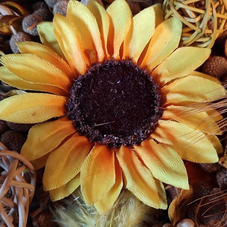 Natural Summer Potpourri 