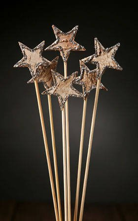 Birch stars on stick, 6 pcs/pkg, silver