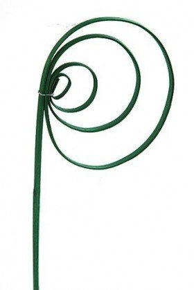 Rattan cane, peacock's eye, 6 pcs/pkg - green
