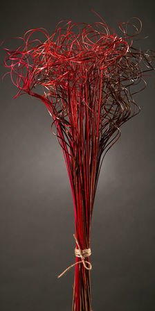 Lockige Graspflanzen, Bündel, rot-dunkelrot